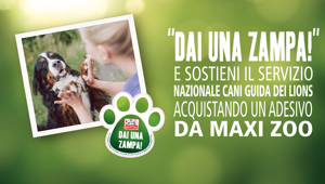 Al via la quarta edizione di ‘Dai una Zampa!’