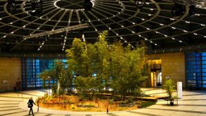 Orticolario, la 12ma edizione è in presenza.  il Premio “Per un Giardinaggio Evoluto” 2022 a Chantal Colleu-Dumond