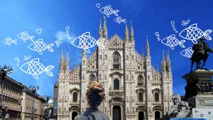 Jungle vince gara e firma BluFishmob, pesci volanti nei cieli di Milano