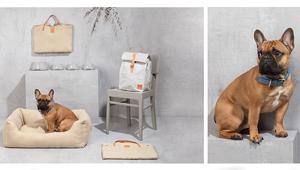 Duepuntootto affida a Studio Roscio l’incarico di ufficio stampa e digital Pr Italia per il marchio 2.8 design for dogs