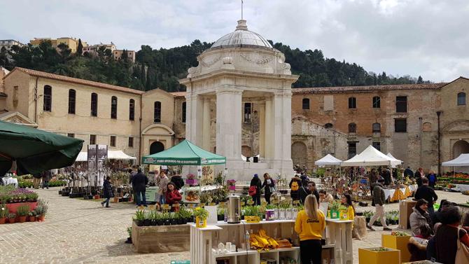 20180324 113327 copia