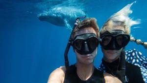 North Sails lancia il concorso “Win and Dive with sharks in Hawaii”