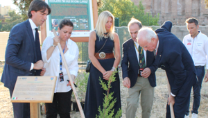 “Ogni pilota un albero”: ACI e Carabinieri Biodiversità insieme per la tredicesima edizione del Rally di Roma Capitale. Piantati 206 alberi, uno per ogni pilota e navigatore in gara