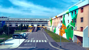 A Mantova le botteghe chiuse diventano atelier d’artista, motori di ripresa economica e sociale