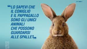 'Lo sapevi che...', Yes I Am firma la nuova campagna di Sara Assicurazioni