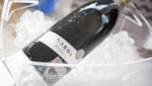 Il Consorzio Garda DOC apre gara da 1,053 mln per la campagna integrata di informazione e promozione negli Stati Uniti del programma 'Italia di  Vini e Sapori'