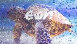 Beulcke+Partners firma la videoinstallazione 'Un Mare di Plastica' per E.ON - Energy4Blue