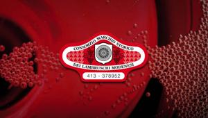 Consorzio Lambrusco di Modena diffonde un messaggio di speranza e di positività con la nuova campagna social. Creatività di Coo'ee