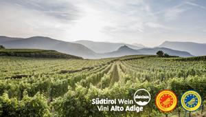 Consorzio Vini Alto Adige apre gara da 1,2 milioni per la promozione dei prodotti agricoli in UK e Svizzera