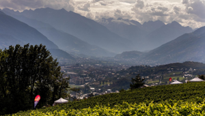 Consorzio Vini Valle d’Aosta sceglie Zed_Comm per la gestione delle attività di Ufficio Stampa, PR e la gestione dei social network per l’Italia