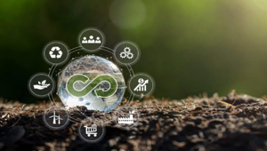 Ambiente, società ed economia. Ecco le aree dove intervenire per realizzare un evento sostenibile