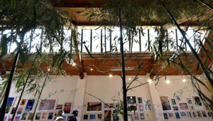 'Parma 360', al via il festival che celebra la creatività contemporanea con un museo diffuso in tutta la città