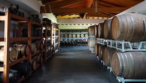 Un corto di Gabriele Salvatores porta l’Aceto Balsamico di Modena all’Expo di Dubai