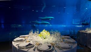 Acquario di Genova: una location da 150 eventi e oltre 30.000 partecipanti all’anno