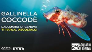 Noodles Comunicazione dà la parola ai pesci nella nuova campagna dell'Acquario di Genova