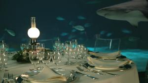 Costa Edutainment aderisce a Food For Good, progetto di recupero delle eccedenze alimentari dagli eventi