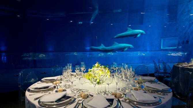acquario2