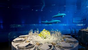 Acquario di Genova, quando l’evento è ‘only for you’