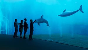 UniCredit: al via la sponsorizzazione triennale per sostenere e valorizzare le attività dell’Acquario di Genova