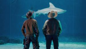 Acquario di Genova lancia la campagna social con 3 soggetti a firma di PicNic