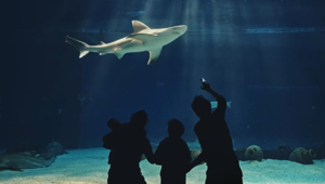 PicNic firma la nuova campagna primavera 2026 dell’Acquario di Genova