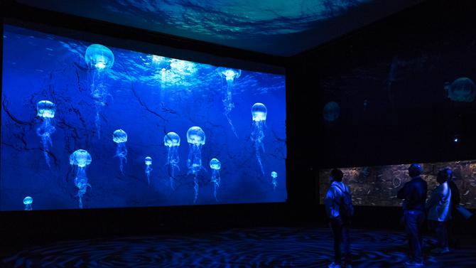 acquario genova filmmaster events 4