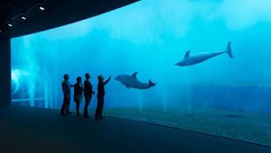 Acquario di Genova aperto la sera il 29 settembre per la Notte europea dei ricercatori
