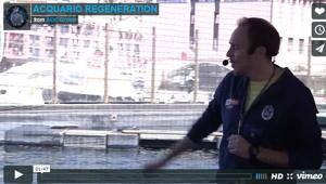 'Acquario Regeneration', rivivi nel video l'evento Filmmaster Events primo premio Evento Educational al Bea Italia 2016