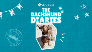 Ogilvy inaugura il canale TikTok di Air Dolomiti con una campagna e sceglie un bassotto come testimonial