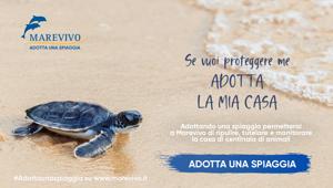 MAREVIVO lancia la campagna "Adotta una Spiaggia"
