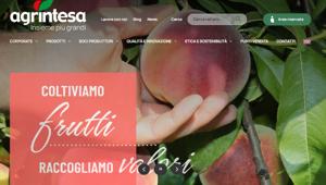 Integra Solutions firma il nuovo portale web di Agrintesa: accessibile e progettato attorno all'esperienza utente