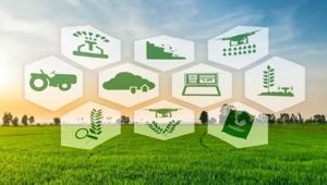 Agrifood. Tra il 2022 e il 2024 il 54% delle imprese agroalimentari sosterrà investimenti green. Il 32% adotterà tecnologie 4.0