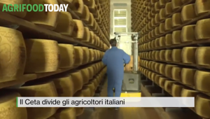 Citynews lancia AgriFoodToday Multimedia in collaborazione con Mipaaf e CREA