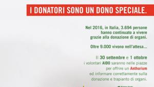 On air dal 18 settembre il nuovo spot dell’Associazione A.I.D.O.