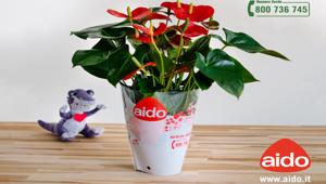 I donatori sono un dono speciale nella nuova campagna dell'Associazione Aido
