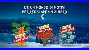 Treedom lancia la campagna natalizia per raggiungere i 4 milioni di alberi piantati entro la fine anno, per un futuro più verde e più giusto