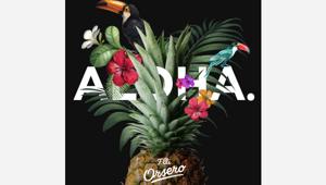 Orsero sceglie Alkemy per la comunicazione e la pianificazione media online