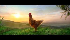VMLY&R incorona Il Campese “Re Pollo” della filiera Amadori
