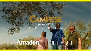 Nimai e Amadori vincono agli NC Digital Awards 2024 per la Miglior Campagna Digitale Integrata del Settore Alimentare e Migliori Campagne Instagram. Al via la nuova serie “Il Campese - Un Racconto Aperto”. Campagna social a sostegno dell'iniziativa