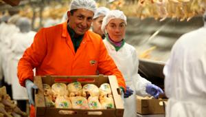 Amadori sostiene l'evento di apertura di Milano Food City 2017