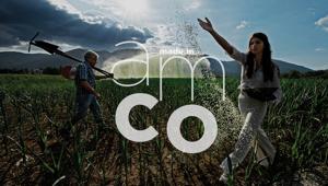 “Made in Amco”, la sostenibilità come pilastro strategico nella campagna firmata Mercurio GP