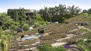 Radicepura Garden Festival, chiuso il bando internazionale della Biennale dedicata al paesaggio mediterraneo