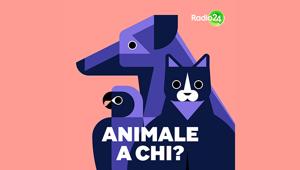 "Animale a chi?": arriva il nuovo podcast originale ideato e condotto da Giulia Crivelli on air su sito, piattaforme e  App di Radio 24