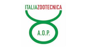 A.O.P. Italia Zootecnica: bando di gara da 2,2 milioni per il programma 'In Europe we care for beef' in Italia e in Francia