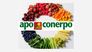 Apo Conerpo apre gara da oltre 2 milioni per il "pears With Love"