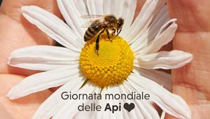 STS Italiana crea un nuovo linguaggio social dedicato ad Apropos, l’esperto della Propoli, per la nuova campagna del brand