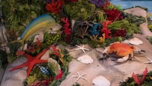 Al Centro Commerciale Sarca arriva 'Aquarium - creature del mare': un progetto di Publievent ed il WWF con otto aree tematiche e oltre 100 riproduzioni di esemplari marini
