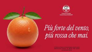 Arancia Rossa di Sicilia IGP su digital e social con una campagna dopo il ciclone Harry