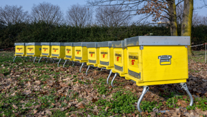 Esselunga presenta i risultati del Piano di Sostenibilità 2024: 4.000 nuovi collaboratori, 8 milioni di euro donati alle comunità locali, il 93% del packaging dei prodotti a marchio in materiali riciclati, riciclabili o compostabili