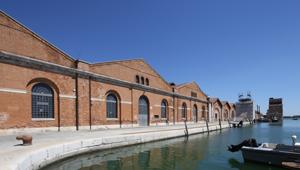 Fondazione Giancarlo Ligabue e Medicine Rocks, in collaborazione con Fondazione Humanitas per la Ricerca, presentano Venezia Sounds,  a Music party for Tomaso Cavanna